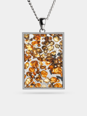 (NOT Real) Sericho Pallasite