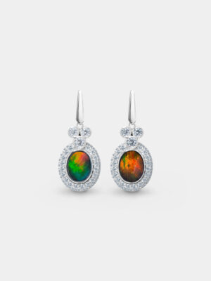 Diem Ellipse Ammolite Drop Earrings